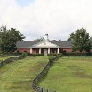 Photo #3 of Lot G-38 John Foxs, North Augusta, SC 0.5 acres