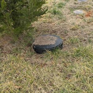 Photo #7 of 18275 Lexi Estates, Mount Pleasant, NC