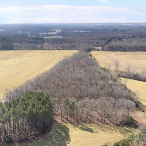 Photo #12 of Georgia, Mocksville, NC