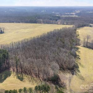 Photo #13 of Georgia, Mocksville, NC