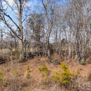 Photo #23 of Georgia, Mocksville, NC