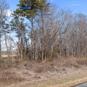 Photo #22 of Georgia, Mocksville, NC