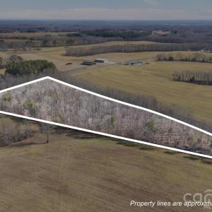 Photo #1 of Georgia, Mocksville, NC