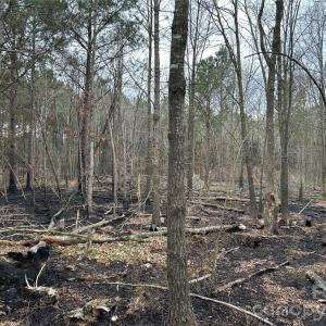 Photo #12 of 1440 Carl Taylor, Peachland, NC