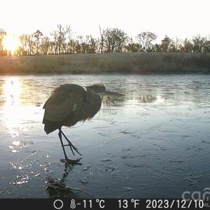 Photo #20 of 1440 Carl Taylor, Peachland, NC