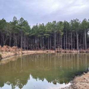 Photo #4 of 1440 Carl Taylor, Peachland, NC