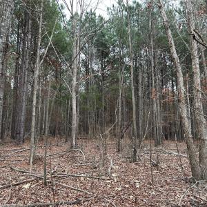 Photo #15 of 1440 Carl Taylor, Peachland, NC