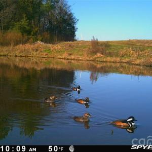 Photo #19 of 1440 Carl Taylor, Peachland, NC