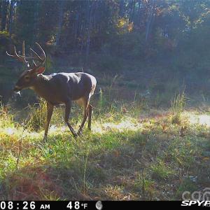 Photo #18 of 1440 Carl Taylor, Peachland, NC