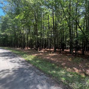 Photo #1 of Sandlapper, York, SC