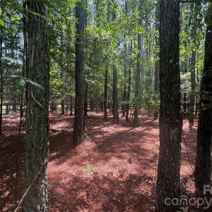 Photo #4 of Sandlapper, York, SC