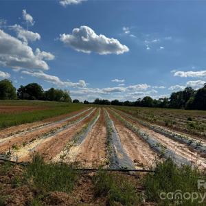 Photo #8 of 36299 Finger, Mount Pleasant, NC