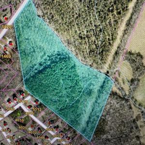 Photo #4 of 37.43AC Lawrence, Clover, SC