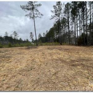 Photo #9 of 5166 Star Magnolia, Clover, SC