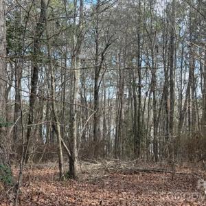 Photo #5 of Lot 18 Sanctuary, Lilesville, NC