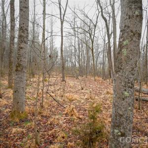 Photo #10 of TBD Dirgie Mine, Roxboro, NC