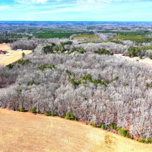 Photo #13 of TBD Dirgie Mine, Roxboro, NC