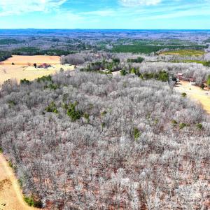 Photo #3 of TBD Dirgie Mine, Roxboro, NC