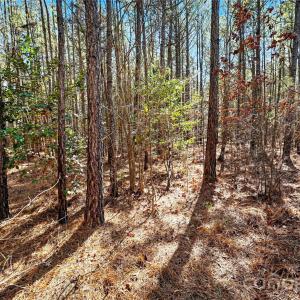 Photo #11 of Three Crow, Lancaster, SC