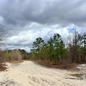 Photo #9 of 505 Shag, Chesterfield, SC