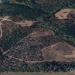 Photo #15 of 505 Shag, Chesterfield, SC