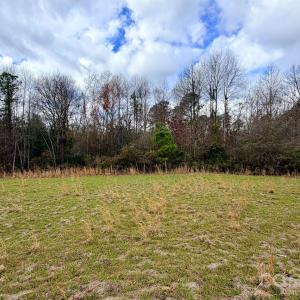 Photo #43 of 505 Shag, Chesterfield, SC