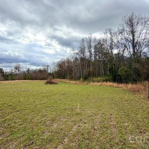 Photo #45 of 505 Shag, Chesterfield, SC