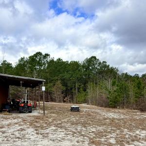 Photo #19 of 505 Shag, Chesterfield, SC