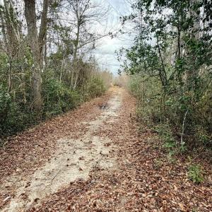 Photo #25 of 505 Shag, Chesterfield, SC