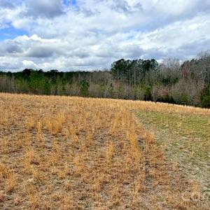 Photo #14 of 505 Shag, Chesterfield, SC