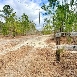 Photo #1 of 505 Shag, Chesterfield, SC