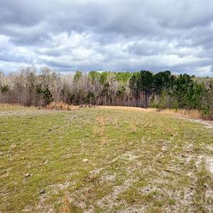 Photo #4 of 505 Shag, Chesterfield, SC