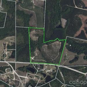 Photo #6 of 505 Shag, Chesterfield, SC