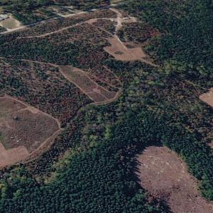 Photo #17 of 505 Shag, Chesterfield, SC