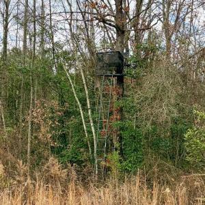 Photo #29 of 505 Shag, Chesterfield, SC