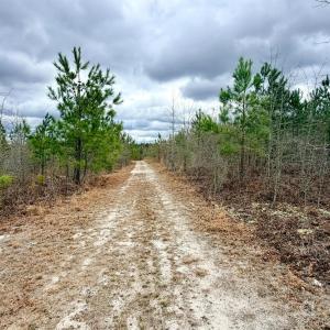 Photo #12 of 505 Shag, Chesterfield, SC