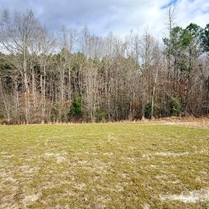 Photo #39 of 505 Shag, Chesterfield, SC