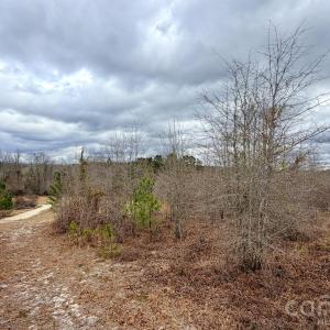 Photo #34 of 505 Shag, Chesterfield, SC