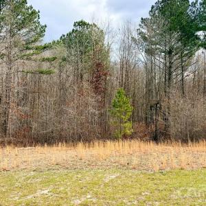 Photo #3 of 505 Shag, Chesterfield, SC