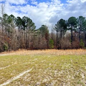 Photo #38 of 505 Shag, Chesterfield, SC