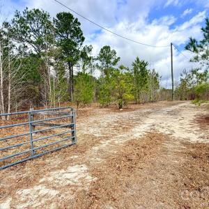 Photo #2 of 505 Shag, Chesterfield, SC