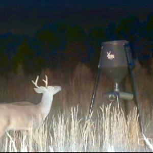 Photo #27 of 505 Shag, Chesterfield, SC