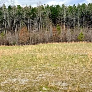 Photo #13 of 505 Shag, Chesterfield, SC