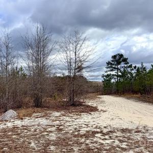 Photo #8 of 505 Shag, Chesterfield, SC