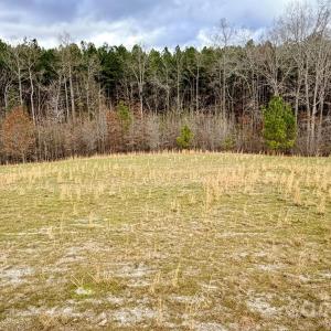 Photo #35 of 505 Shag, Chesterfield, SC