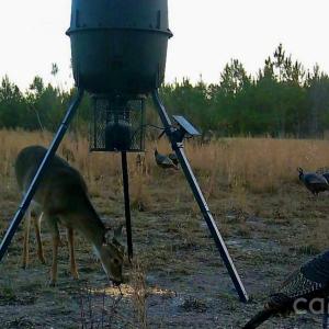 Photo #31 of 505 Shag, Chesterfield, SC