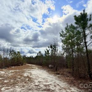 Photo #11 of 505 Shag, Chesterfield, SC