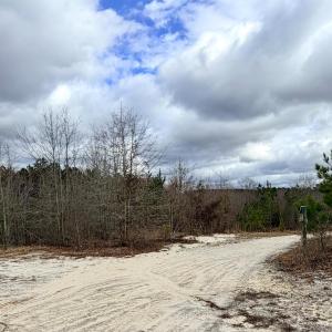 Photo #18 of 505 Shag, Chesterfield, SC