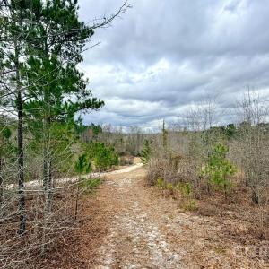 Photo #33 of 505 Shag, Chesterfield, SC