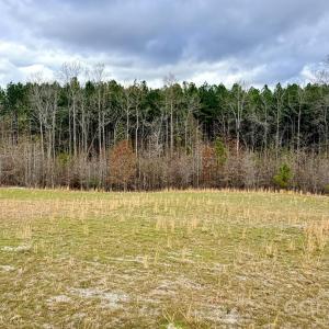 Photo #36 of 505 Shag, Chesterfield, SC